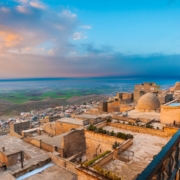 Mardin Çoklu Araç Taşıma